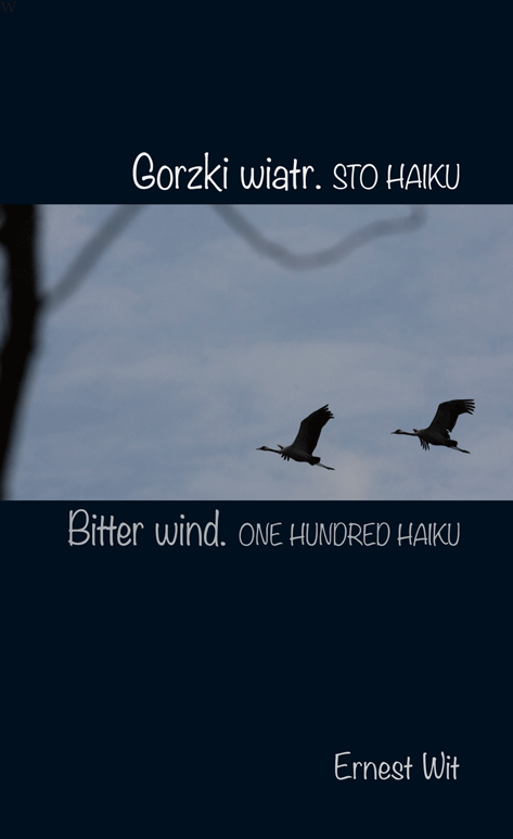 gorzki-wiatr_okladka